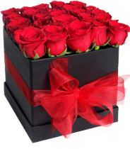 Caja de 25 Rosas Rojas